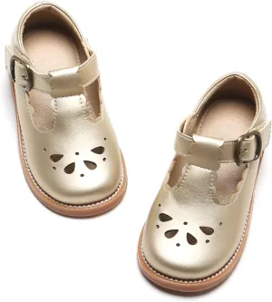 Felix & Flora Toddler Little Girl Mary Jane Dress Shoes - Ballet Flats for Girl Party School Shoes