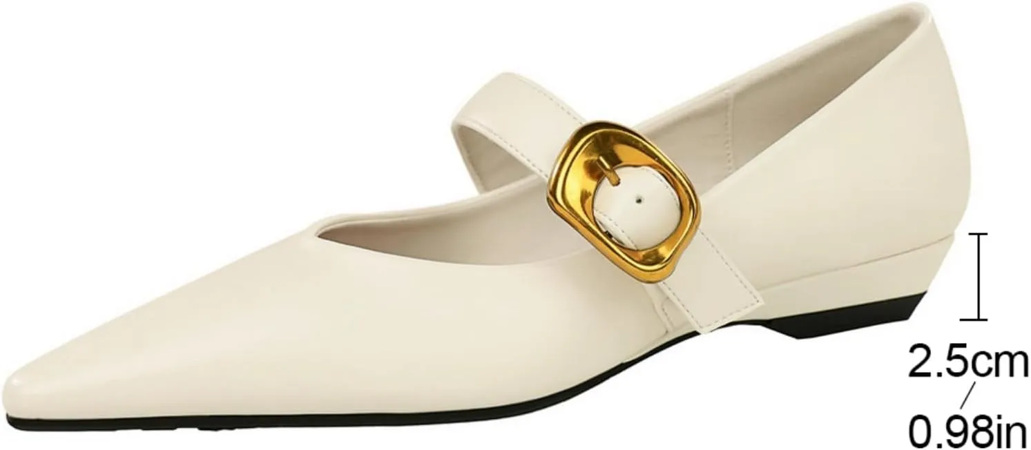 Women's 1 Inch Pointy Toe Mary Janes Flats One Strap Buckle Cute Leather Ballet Flat Shoes for Women Low Heeled Wedge Slip On Solid Work Flats Dress Comfortable
